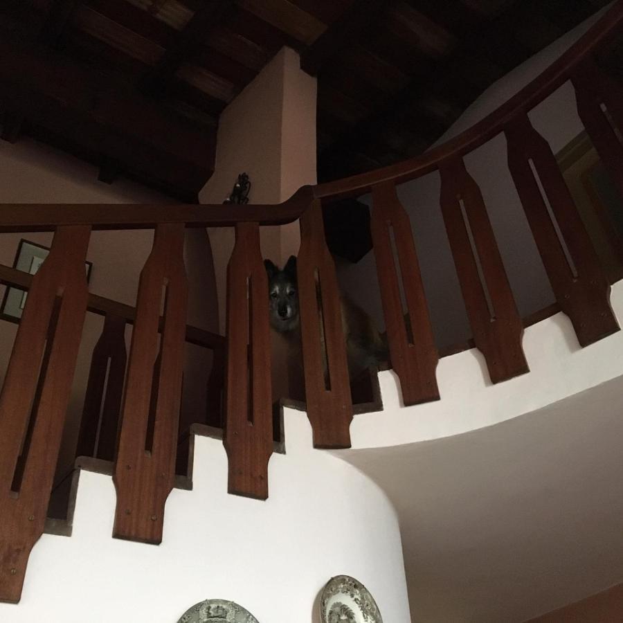 Mirabilia Bed & Breakfast Adrara San Rocco Dış mekan fotoğraf